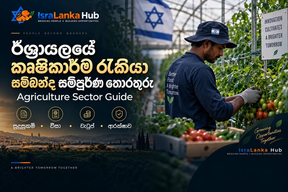 IsraLanka Hub Agriculture Sector Guide showing a farmer inspecting tomatoes in a greenhouse with Israeli flag and informational text in Sinhala